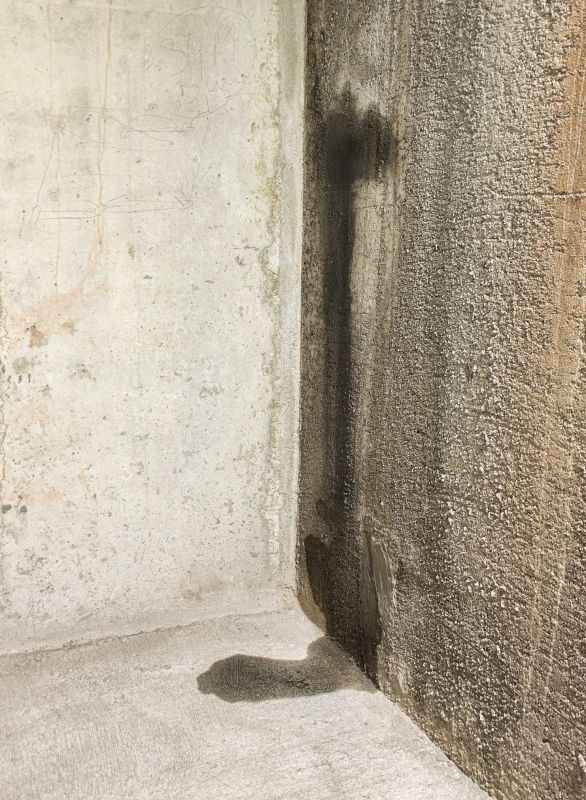Basement Leak Repair in Tuscaloosa, AL