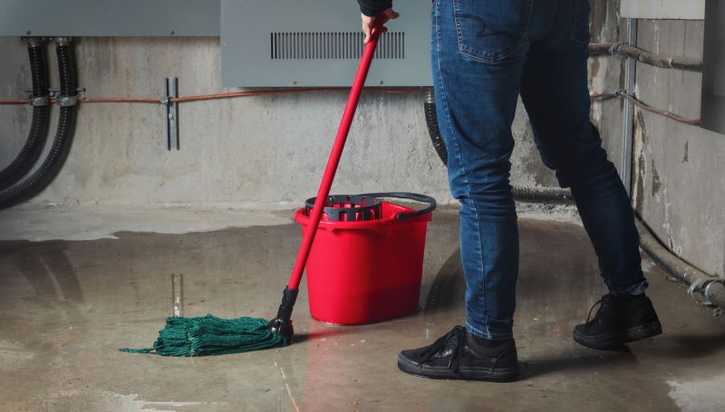 Basement Seepage Repair in Sarasota, FL