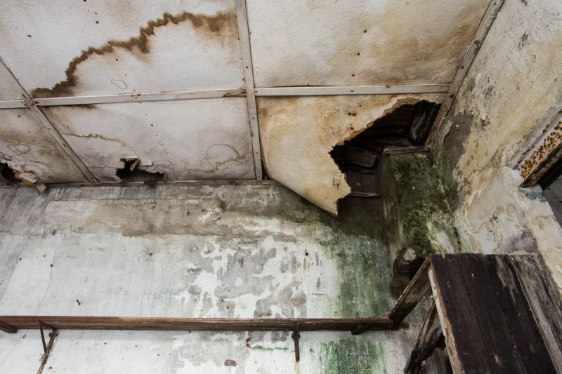 Foundation Leak Repair in Fort Collins, CO