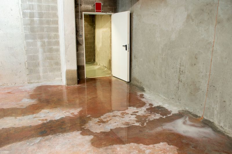 Wet Basement Repair in Fort Myers, FL